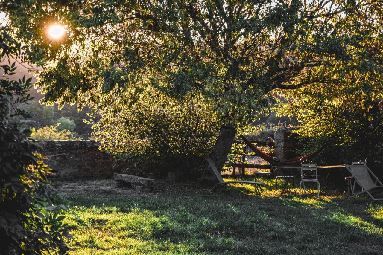 Tiny House Morvan Bourgogne Nature - 2H De Paris Bussieres  Екстер'єр фото